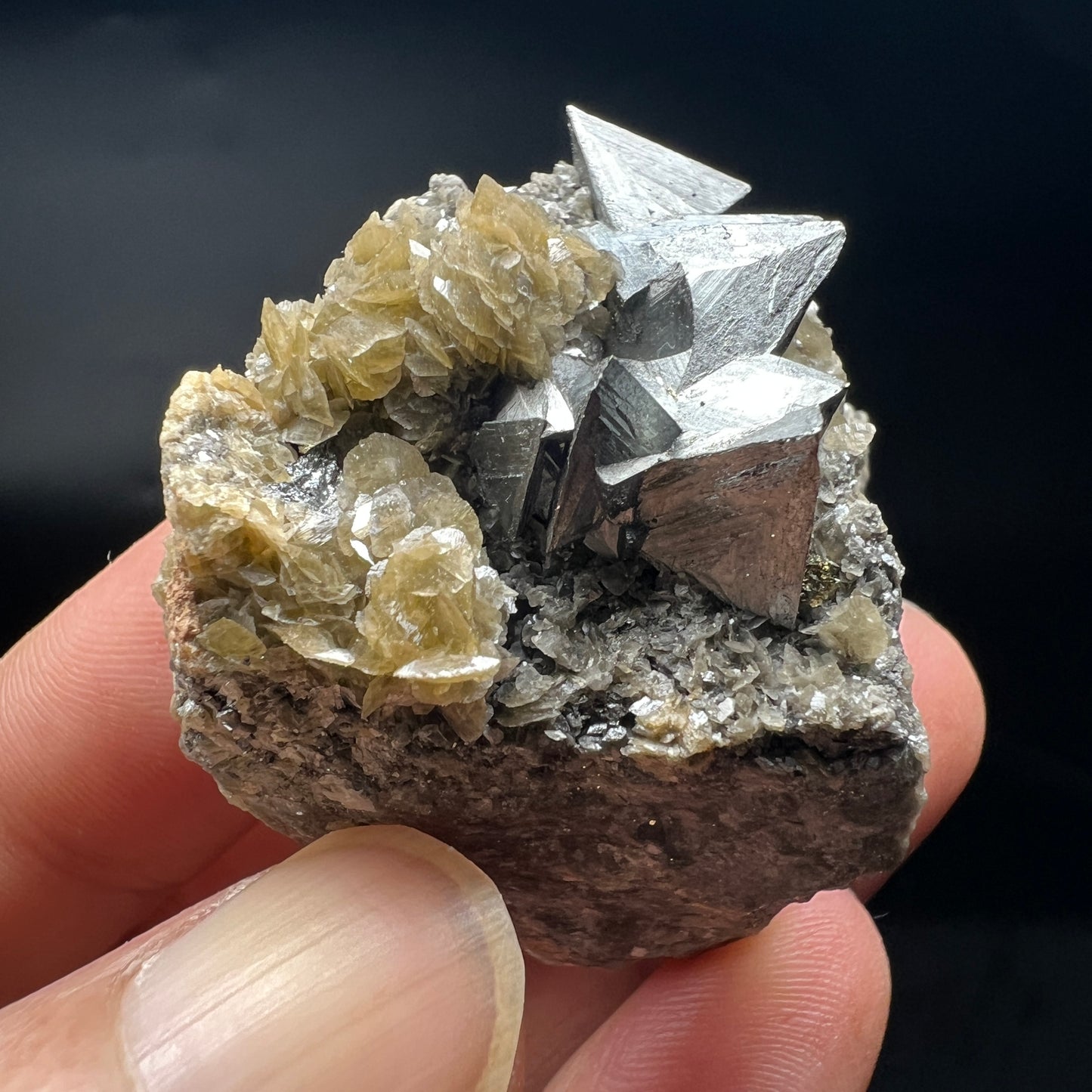 Tetrahedrite + Chalcopyrite + Siderite (Free shipping)