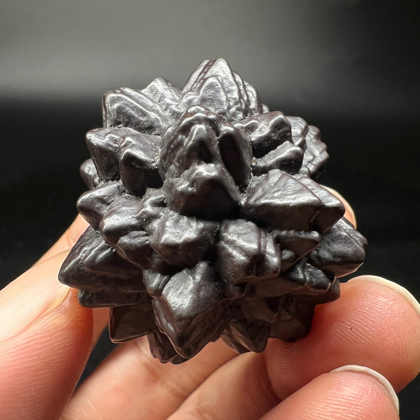 Limonite Flower bulbs (Free shipping)