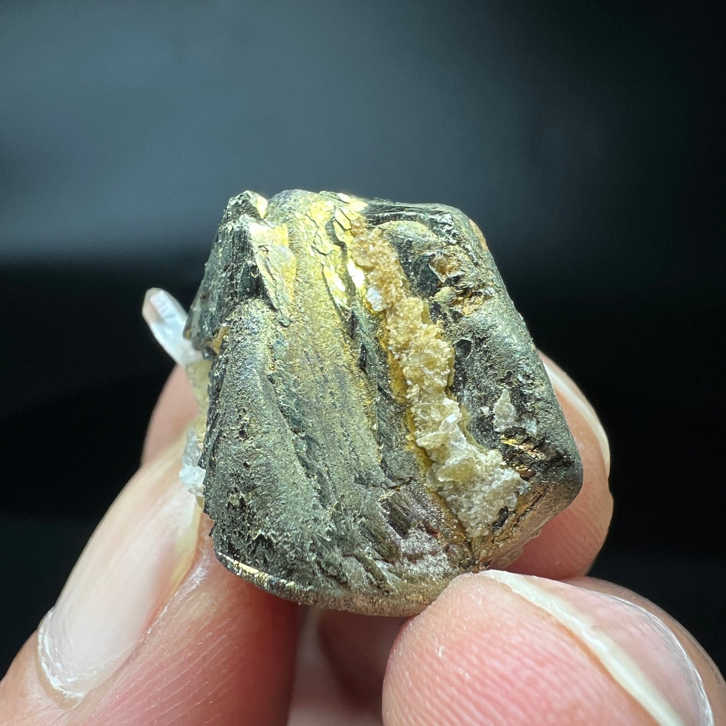 Floater Chalcopyrite + Quartz + Siderite (Free shipping)