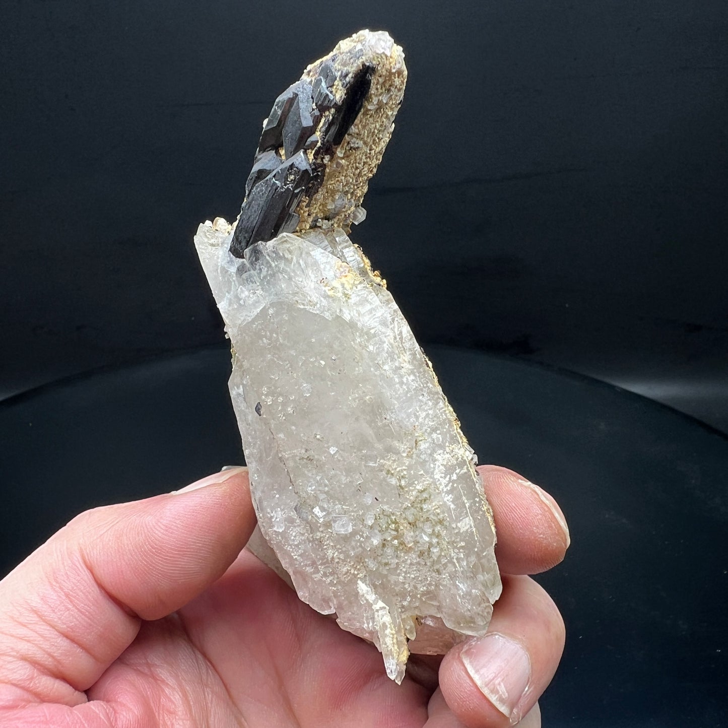 Floater Wolframite + Quartz (Free shipping)