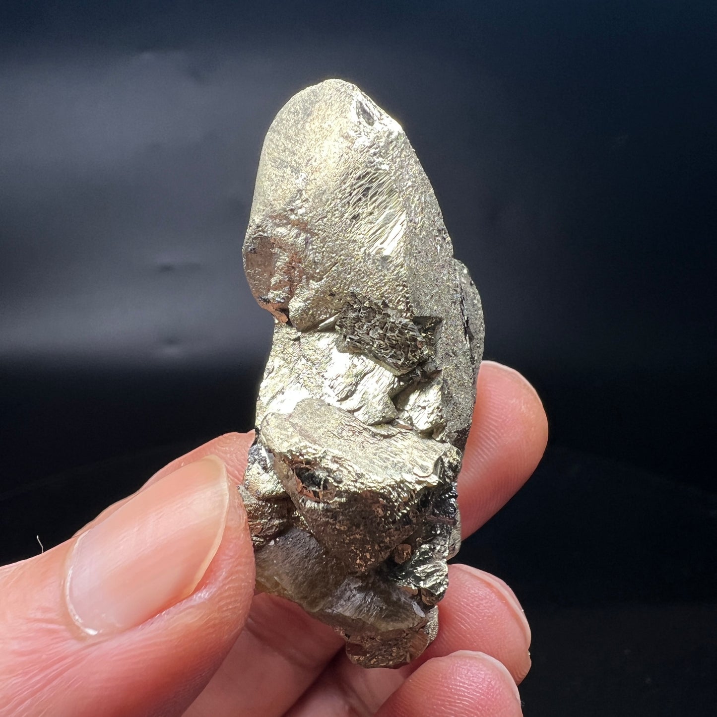 Chalcopyrite + Tetrahedrite + Siderite (Free shipping worldwide)