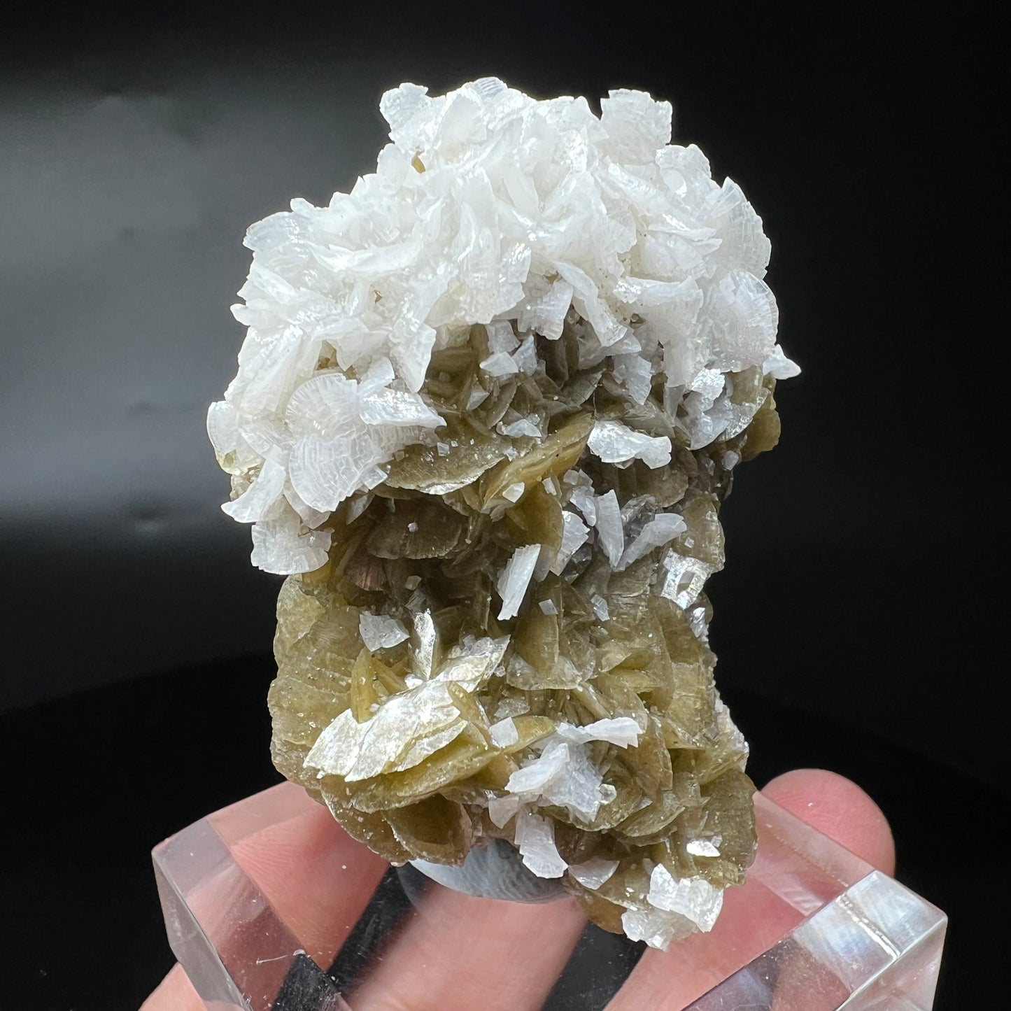 Siderite + Dolomite (Free shipping)