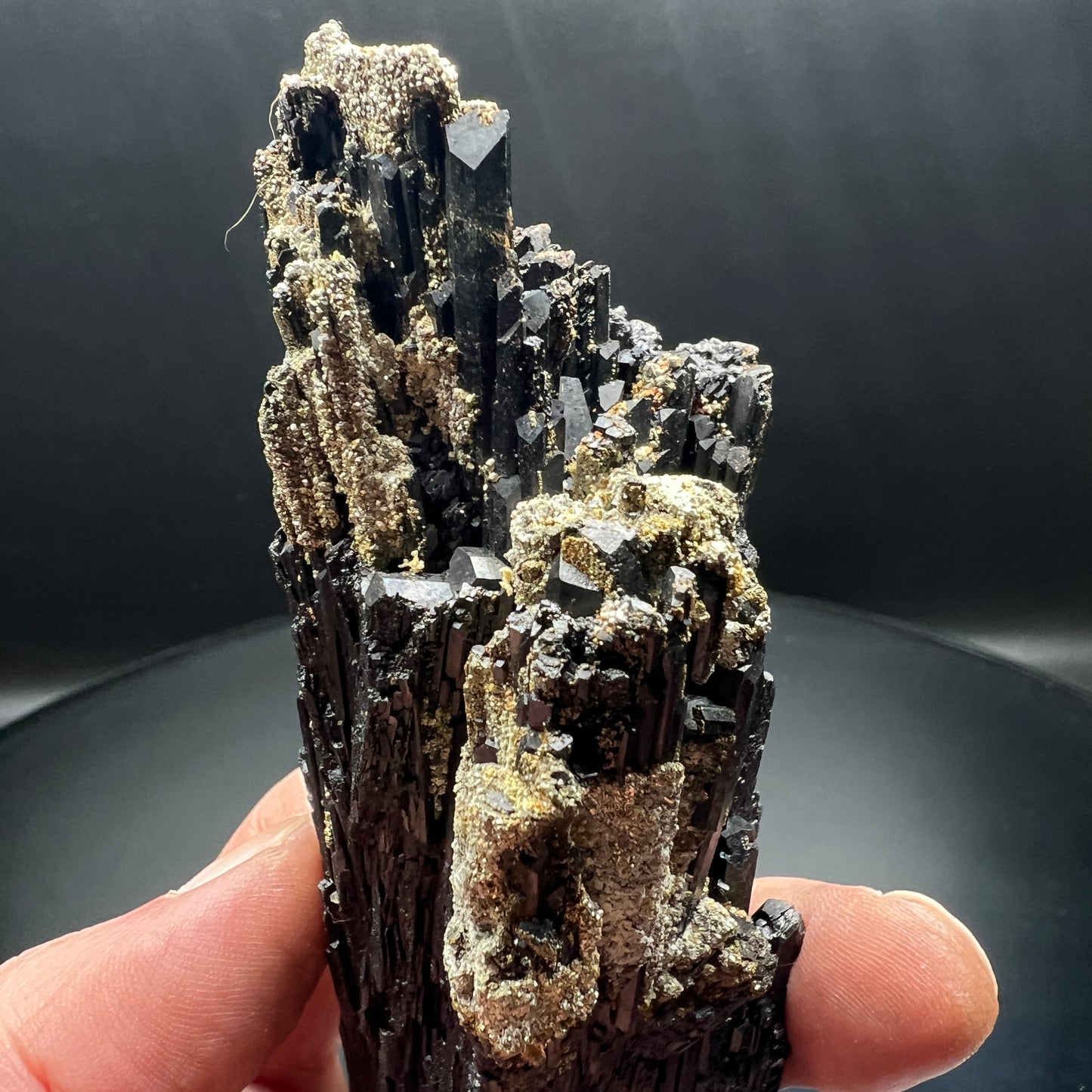 Wolframite + Pyrite (Free shipping)