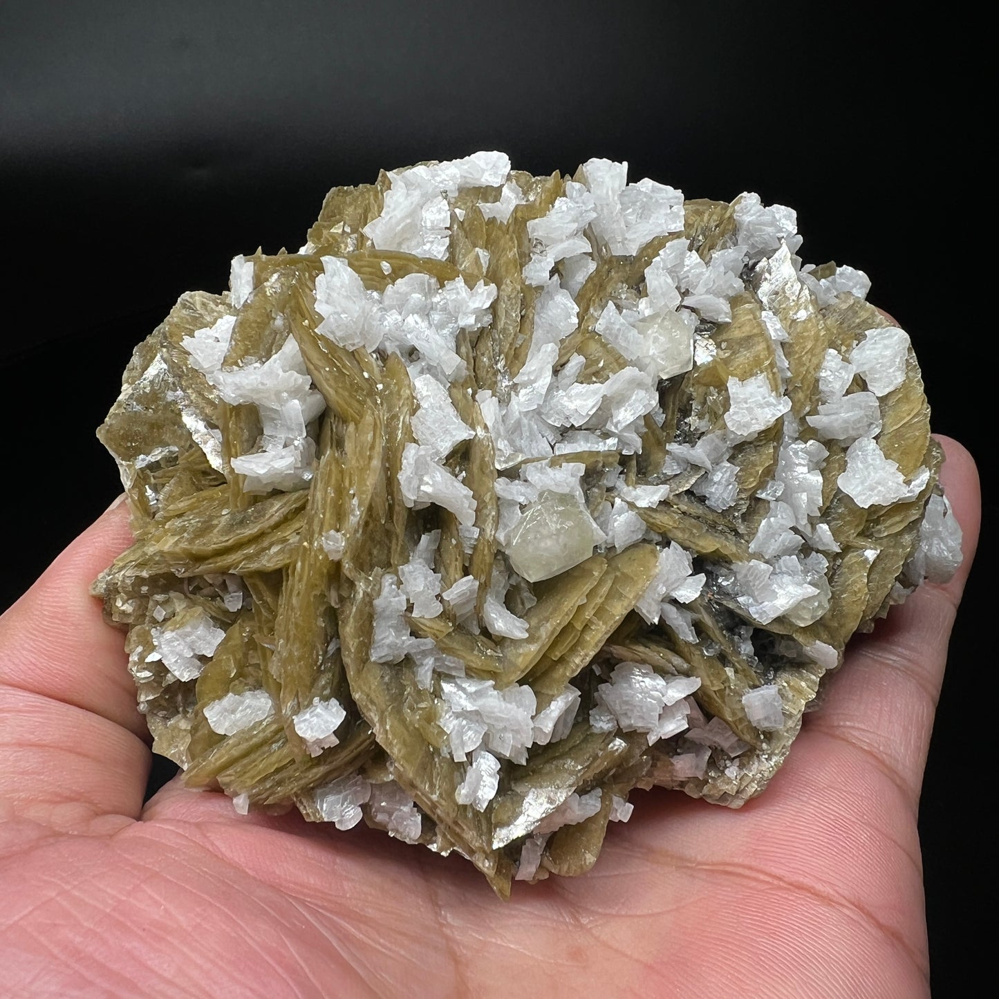 Siderite + Calcite + Dolomite (Free shipping)