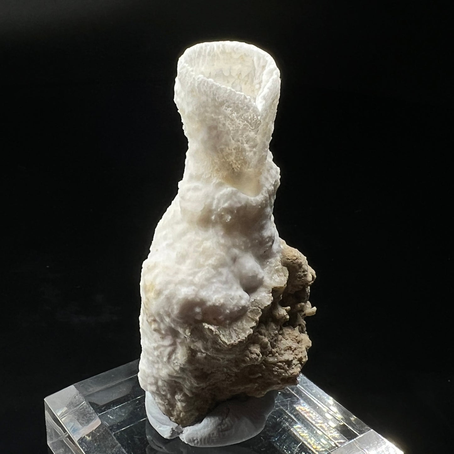 Goblet Aragonite (Free shipping)