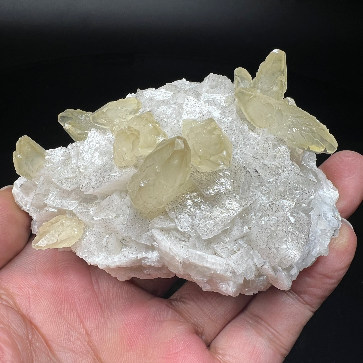 Calcite + Dolomite + Pyrite (Free shipping)
