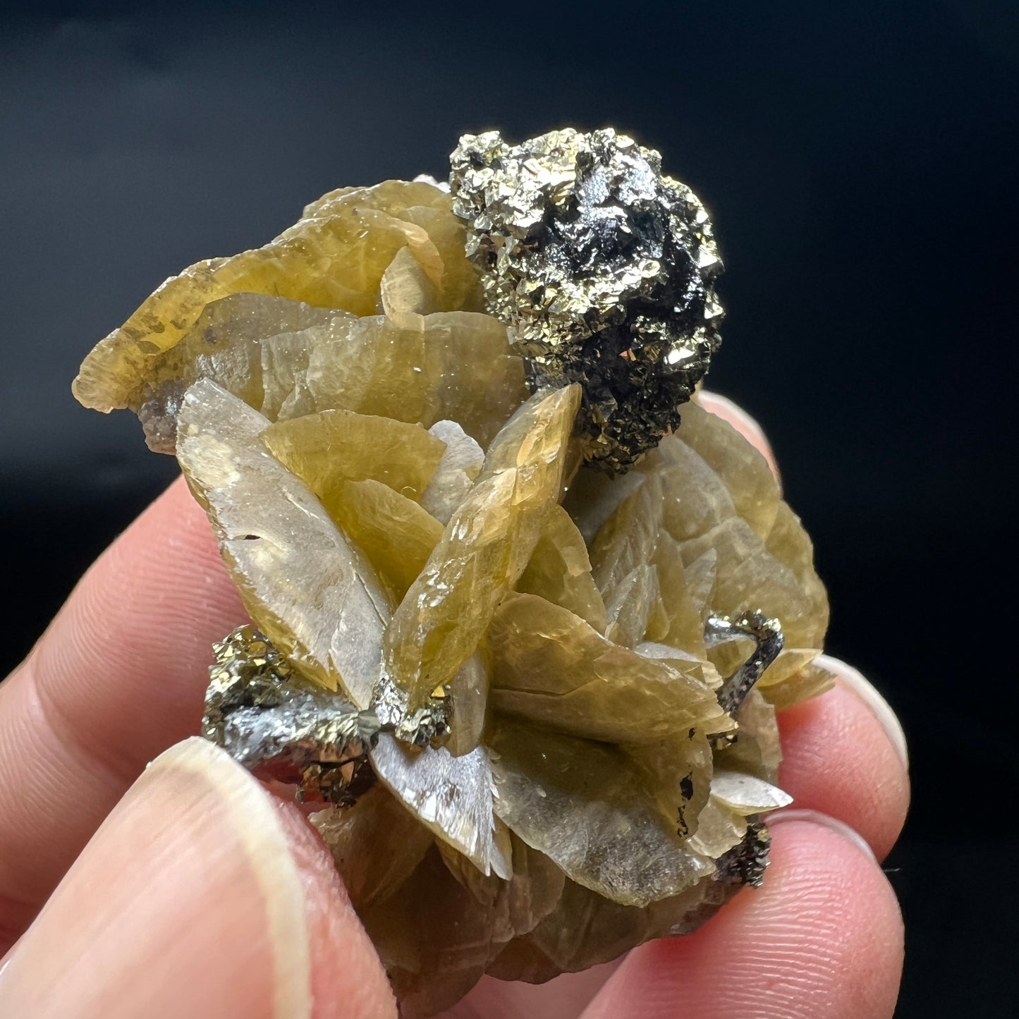 Tetrahedrite + Chalcopyrite + Siderite (Free shipping)