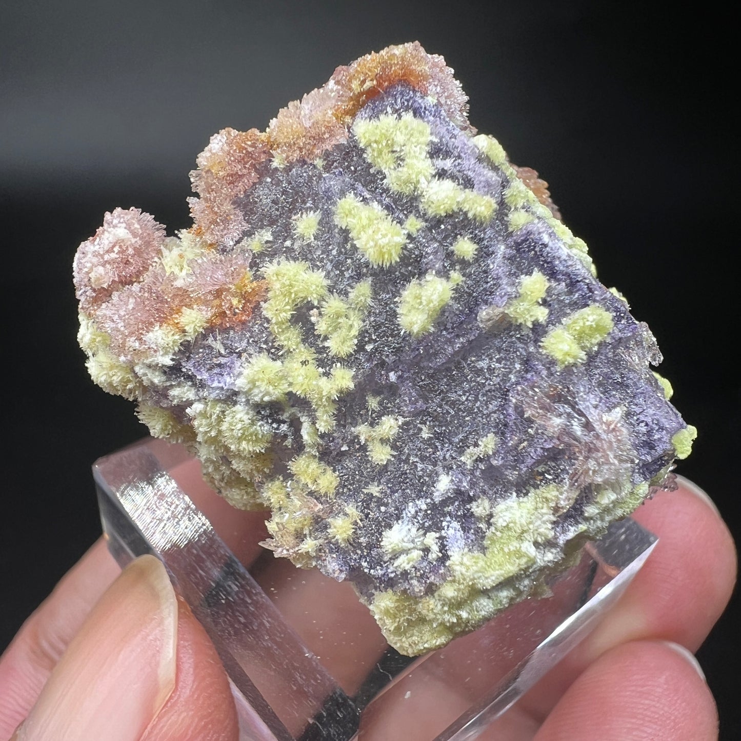 Carlhintzeite + Creedite (Free shipping)