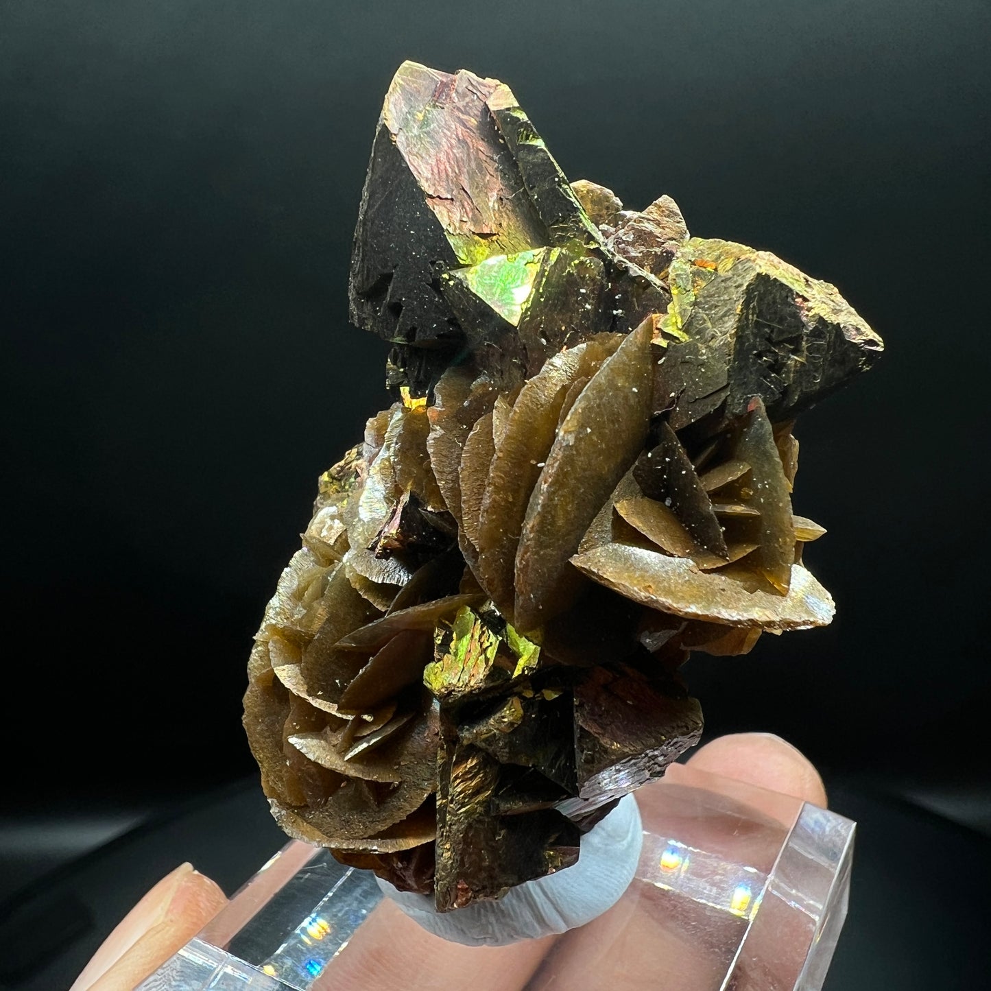 Chalcopyrite + Tetrahedrite + Siderite (Free shipping)