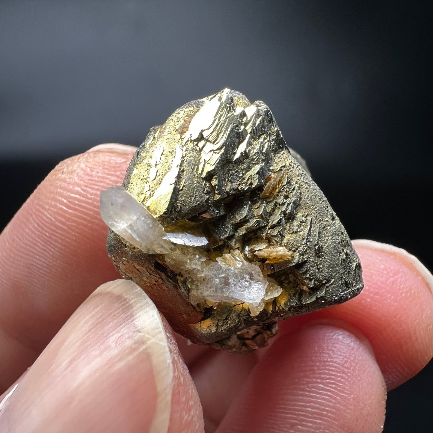 Floater Chalcopyrite + Quartz + Siderite (Free shipping)