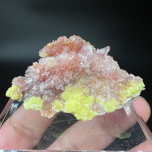 Carlhintzeite + Creedite (Free shipping)