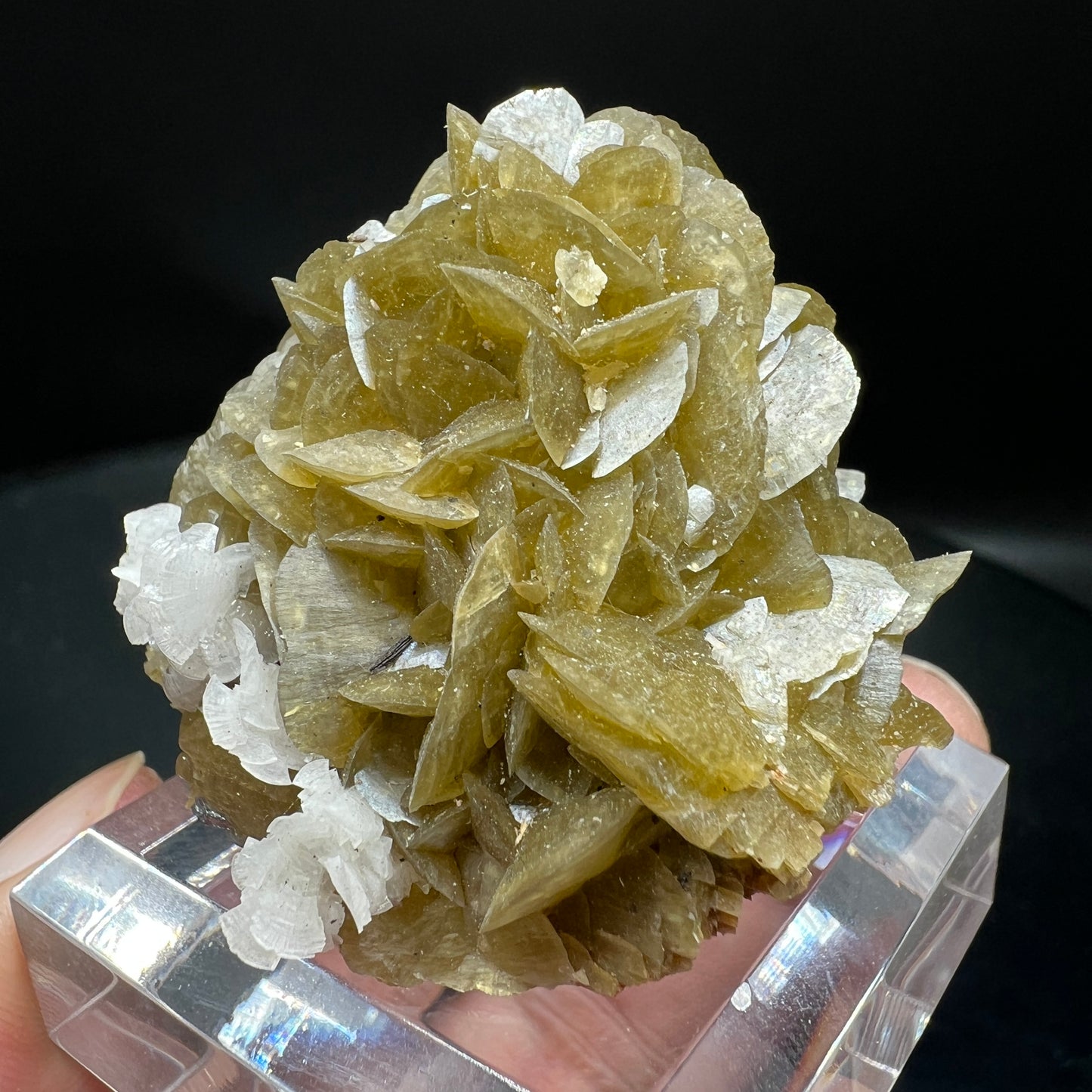 Siderite + Dolomite (Free shipping)
