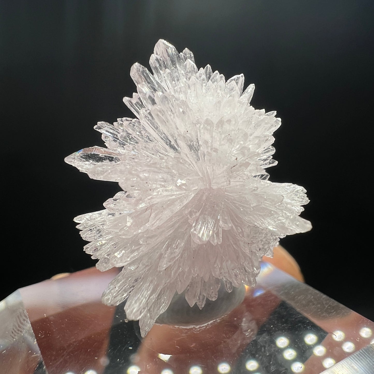 Creedite (Free shipping)