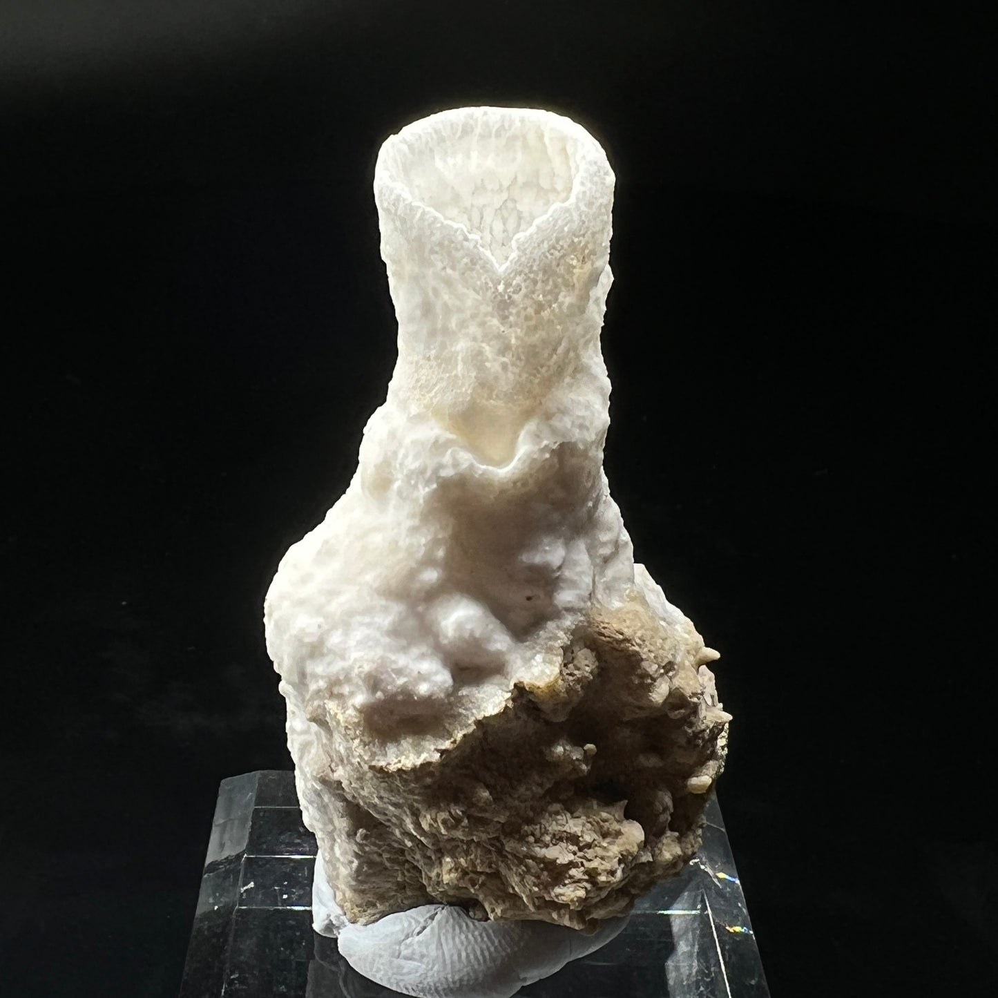 Goblet Aragonite (Free shipping)