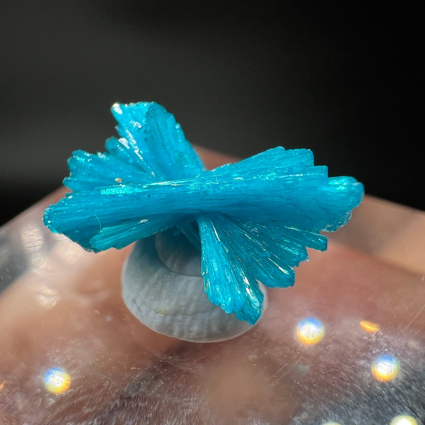 Floaters bow Cavansite (Free shipping)