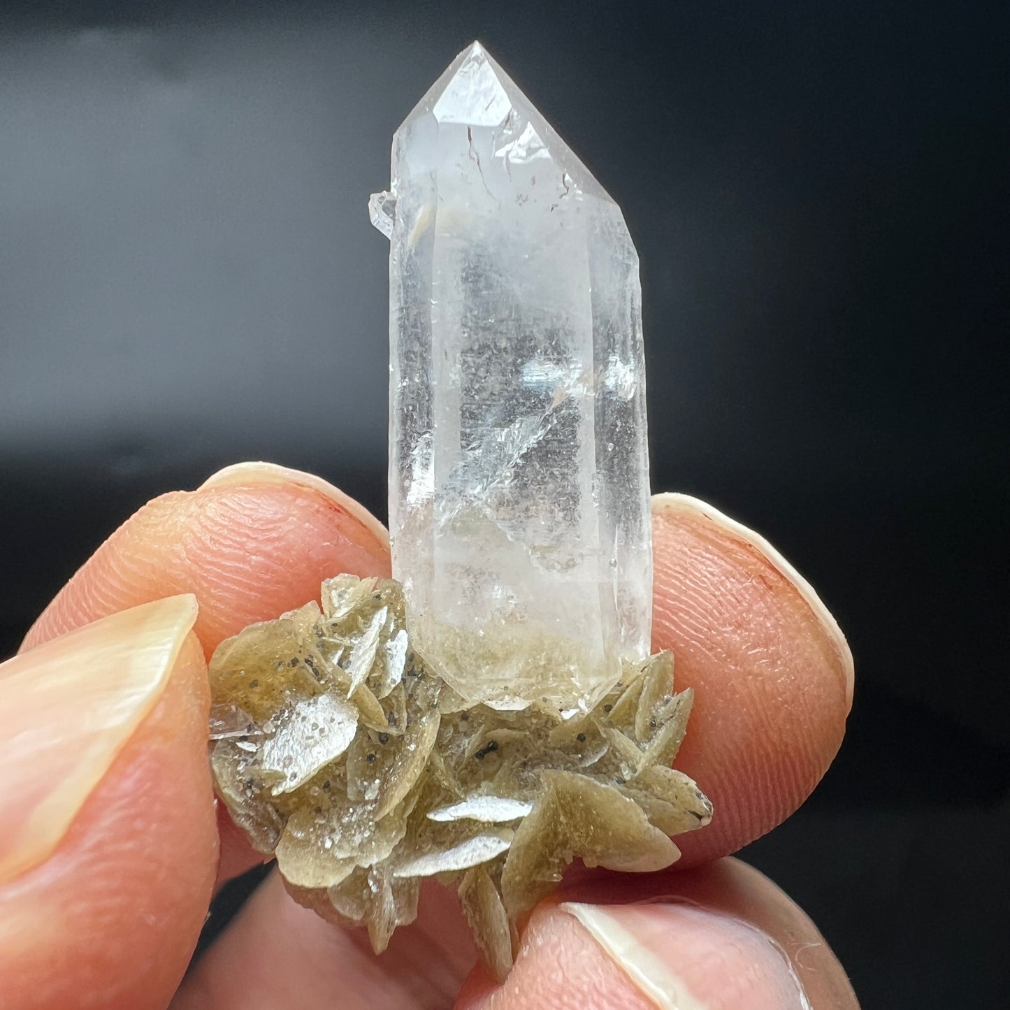 Floater Quartz + Siderite (Free shipping)