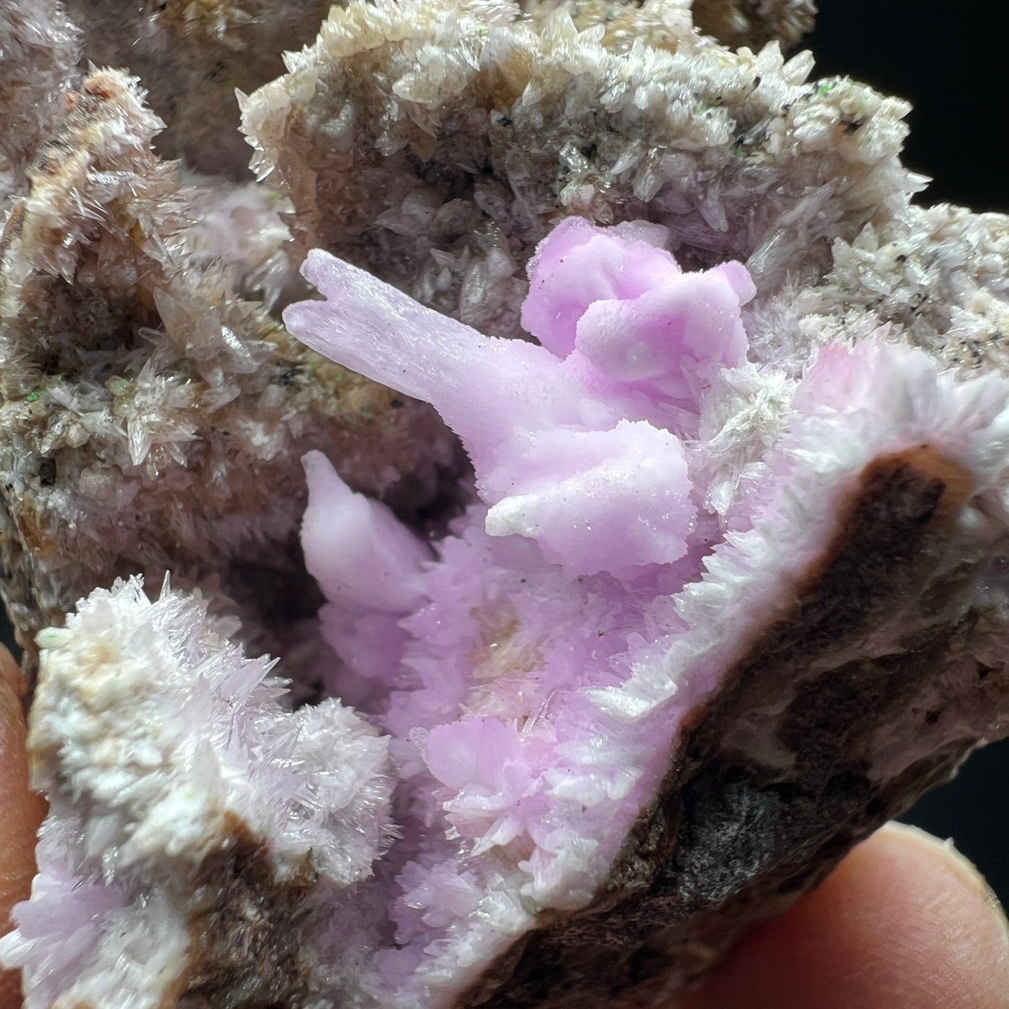 Aragonite (Free shipping)