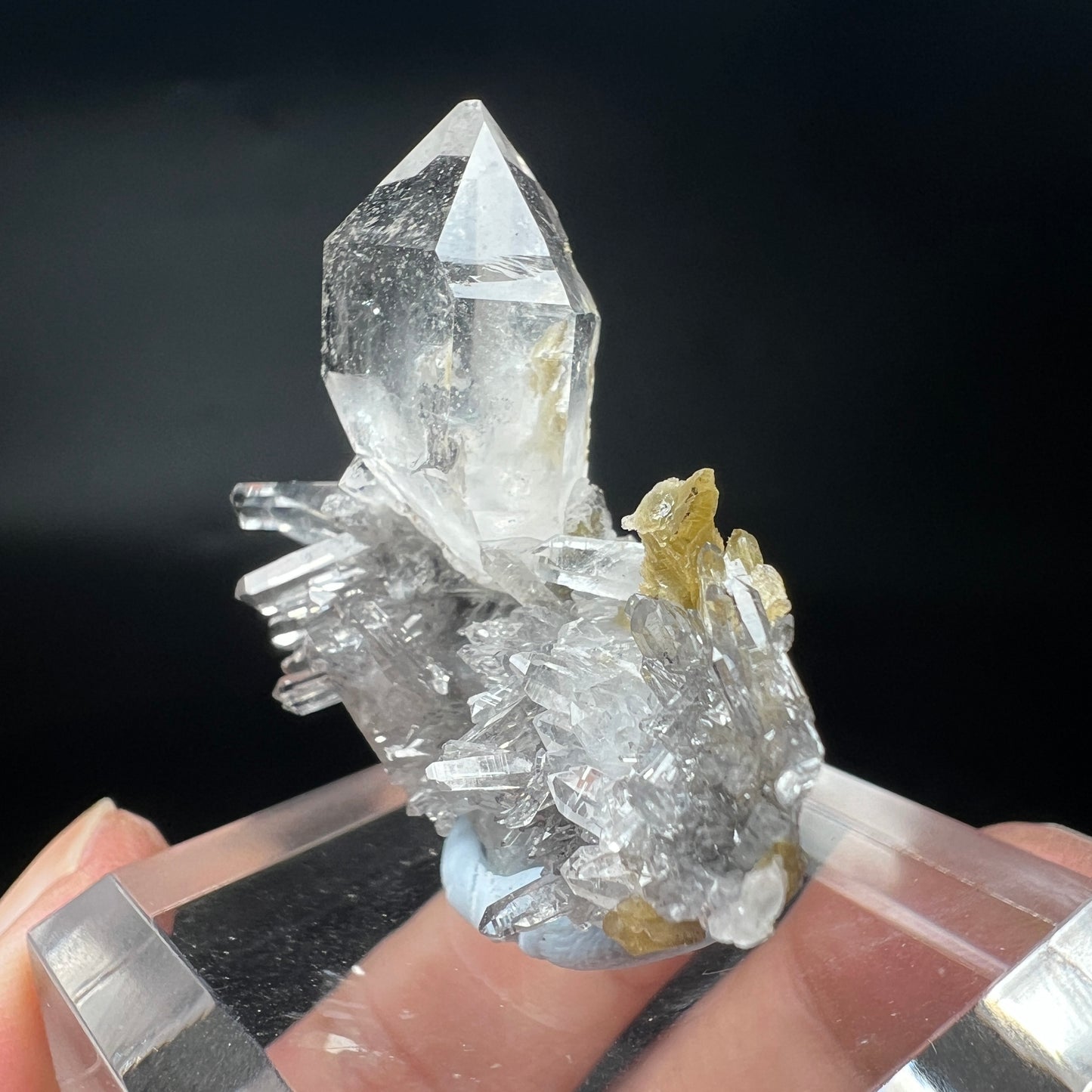 Double-ended Quartz + Siderite (Free shipping)