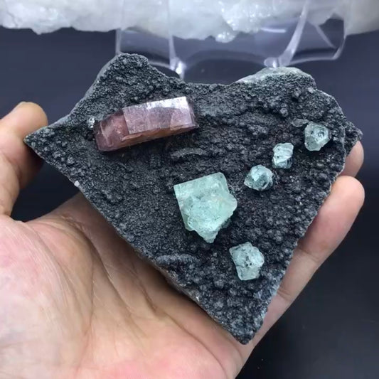 Apatite + Fluorite (Free shipping)