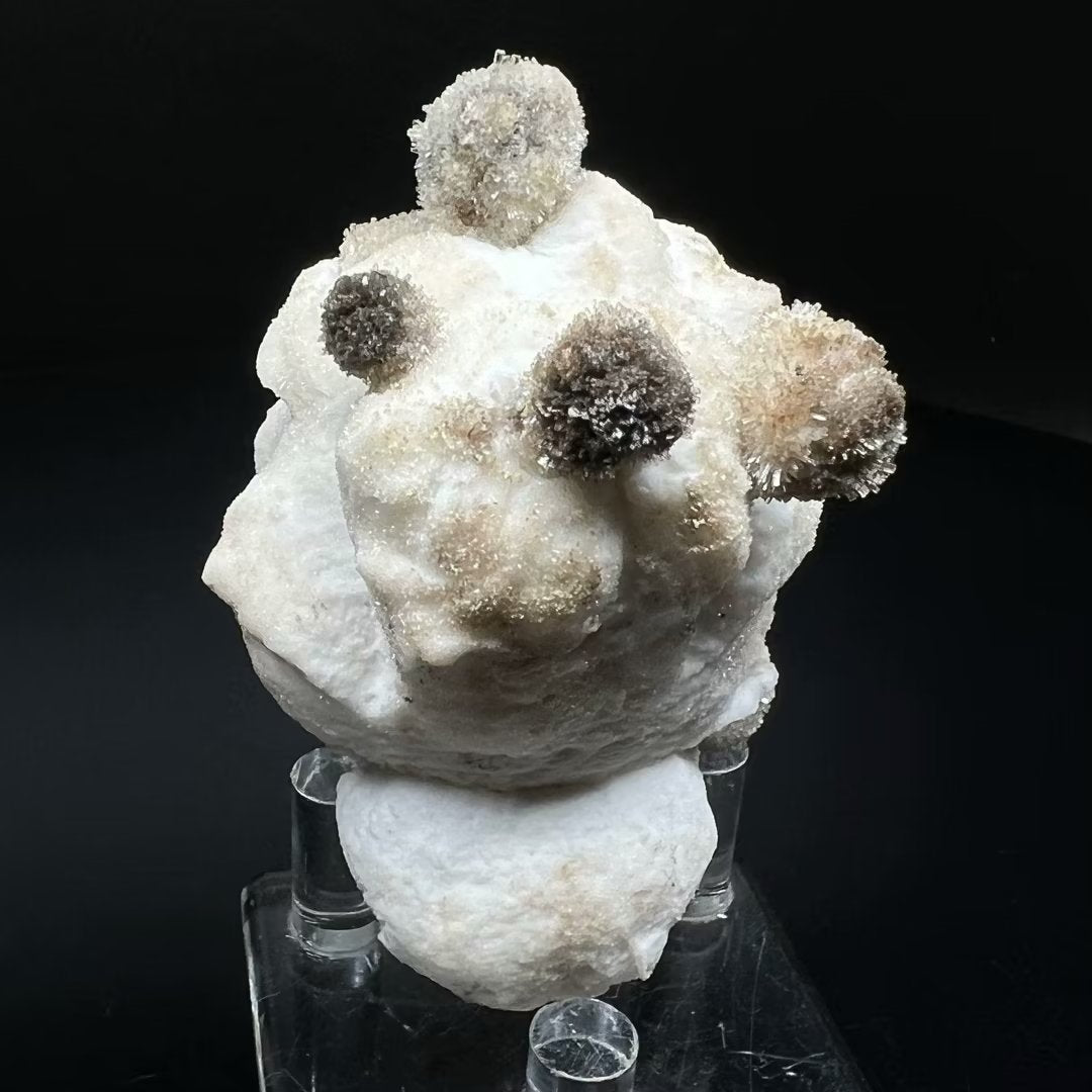 Floaters Creedite + Gypsum (Free shipping)
