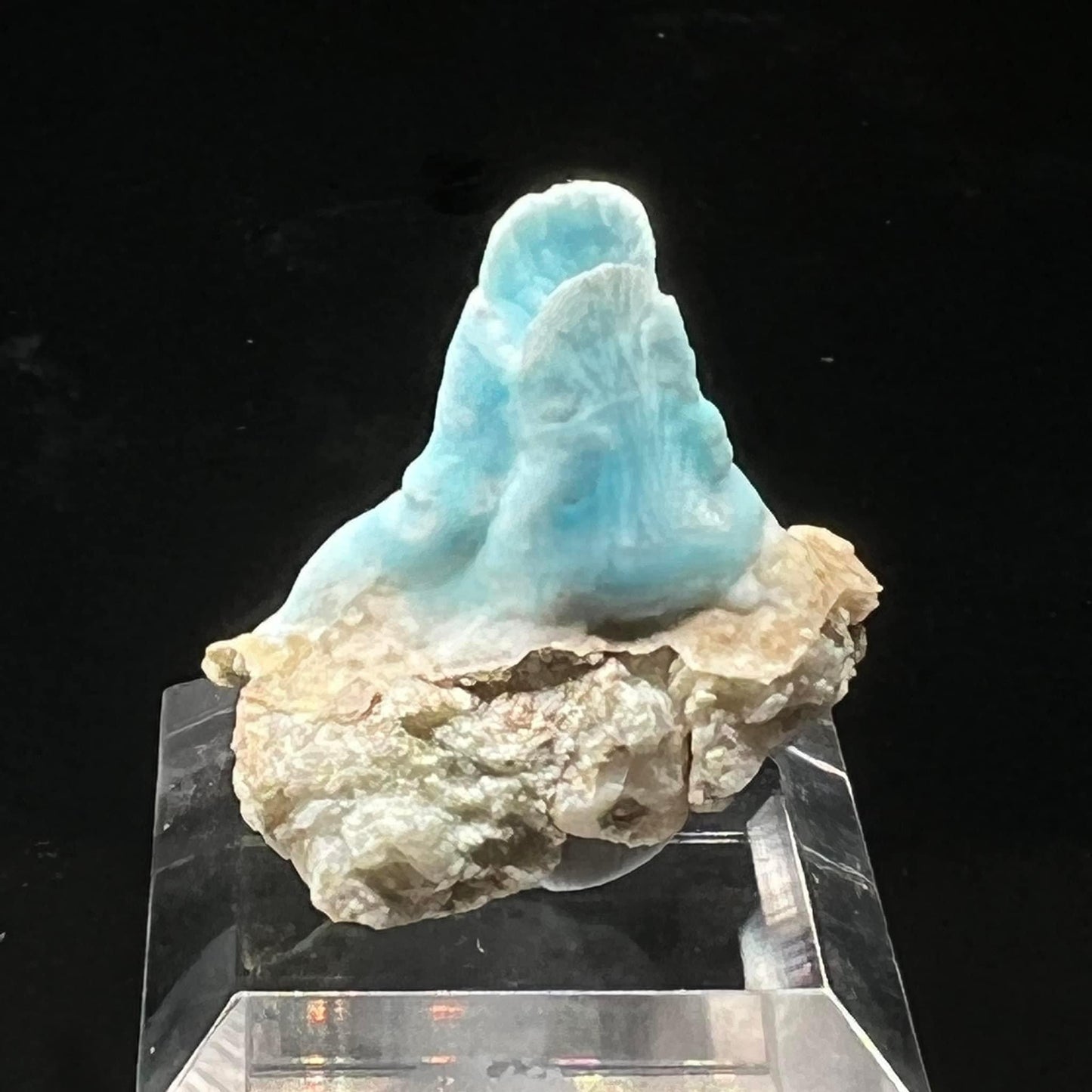 Goblet Blue Aragonite (Free shipping)