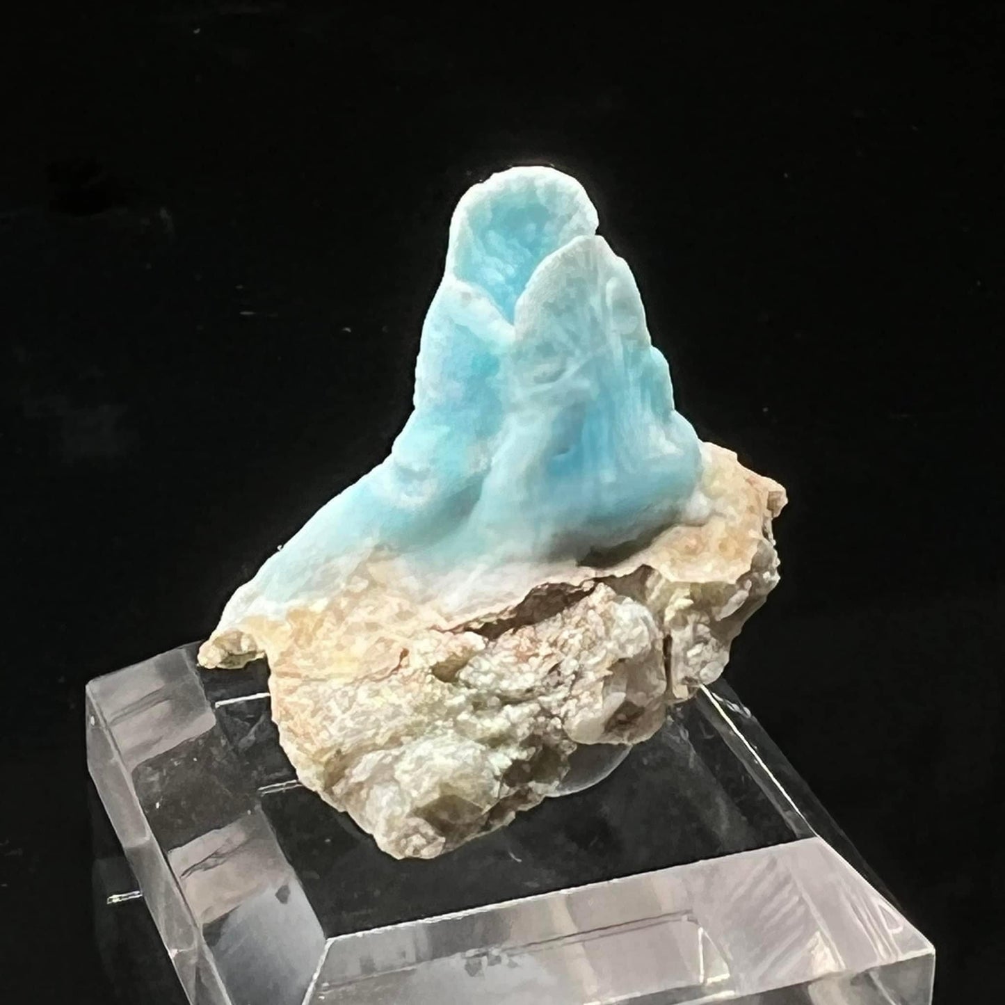 Goblet Blue Aragonite (Free shipping)