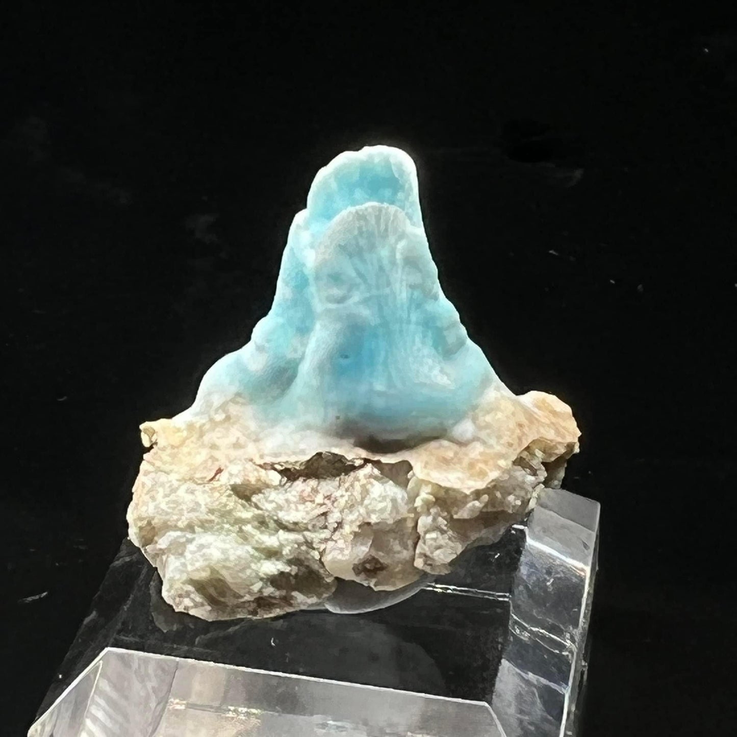 Goblet Blue Aragonite (Free shipping)