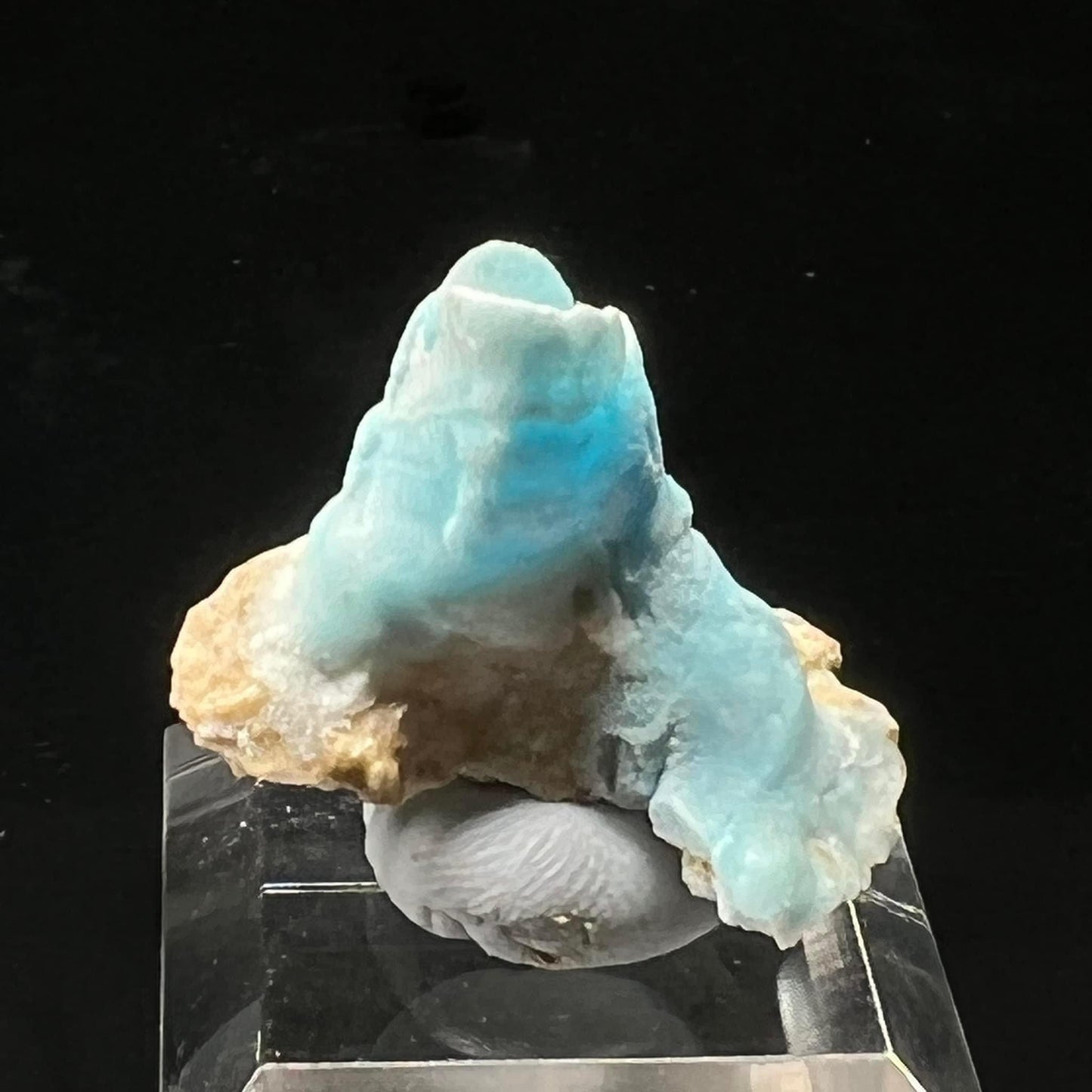 Goblet Blue Aragonite (Free shipping)