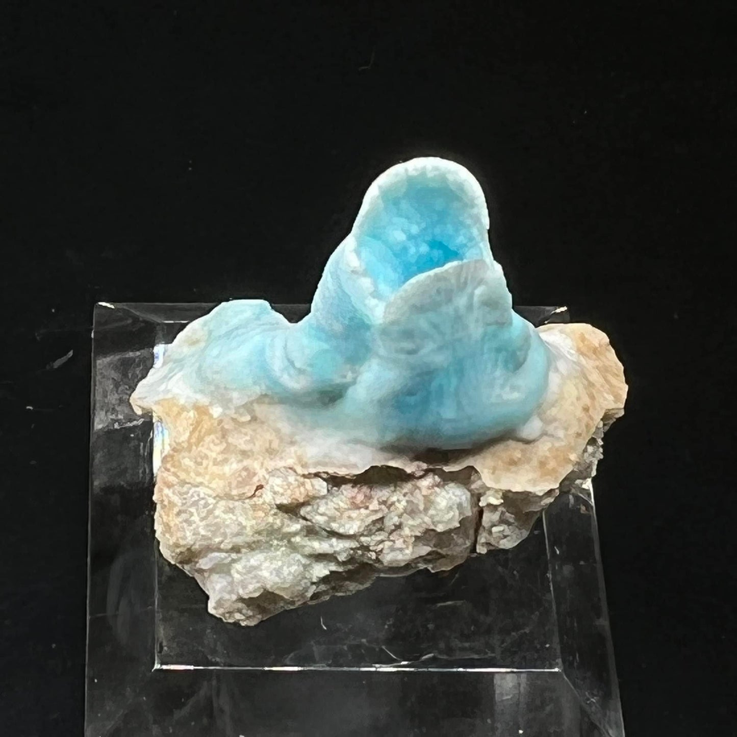 Goblet Blue Aragonite (Free shipping)