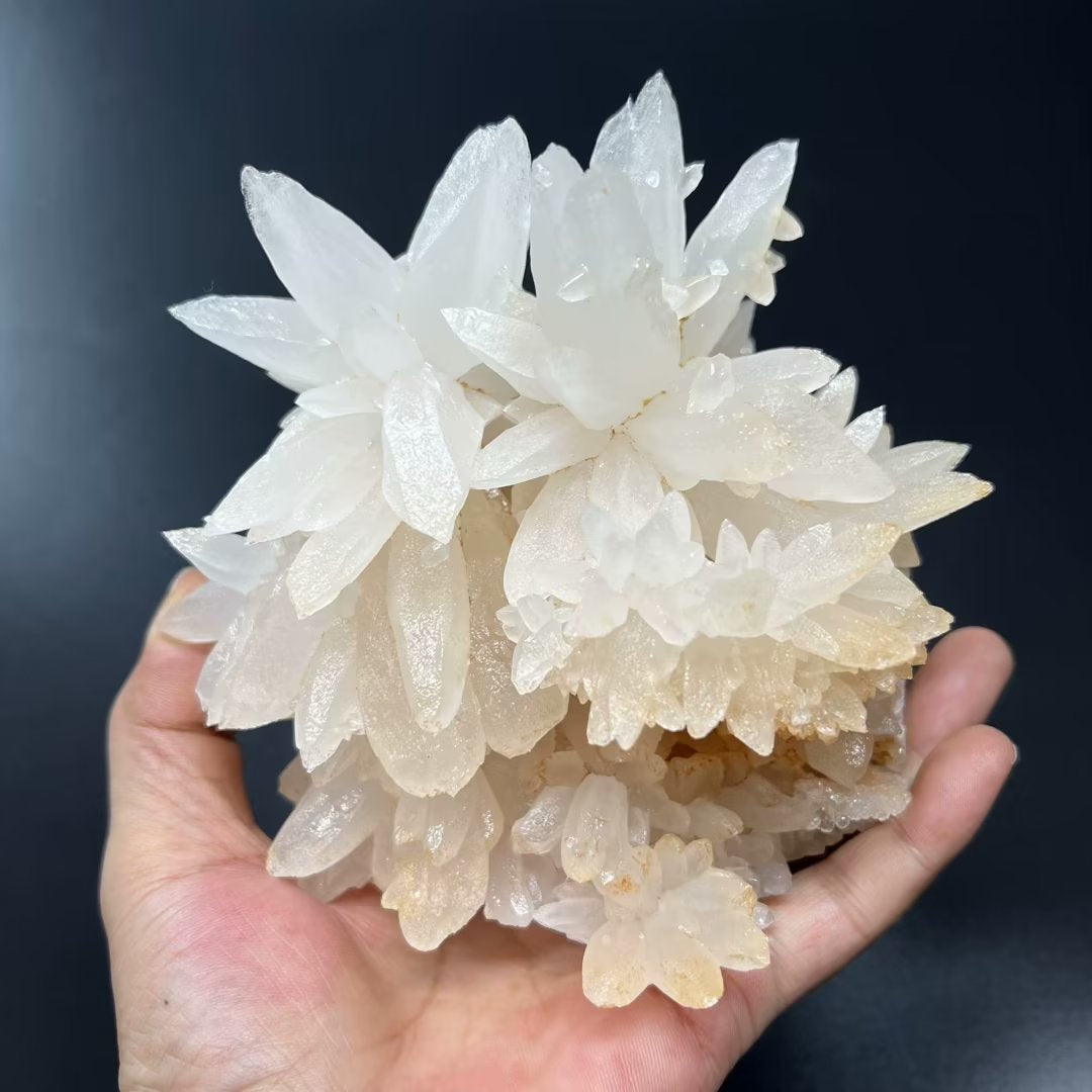 Calcite flower (Free shipping)