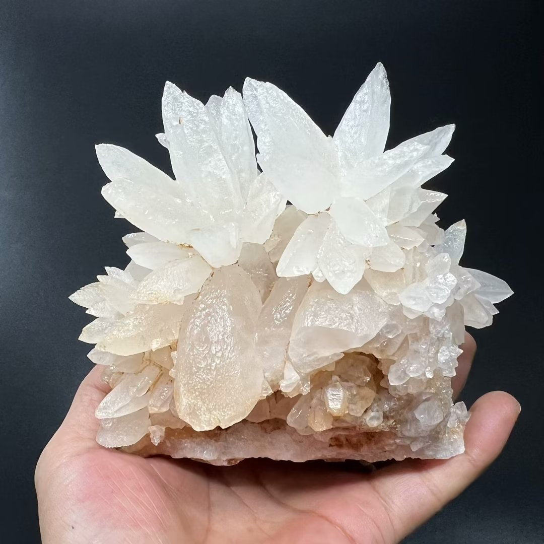 Calcite flower (Free shipping)