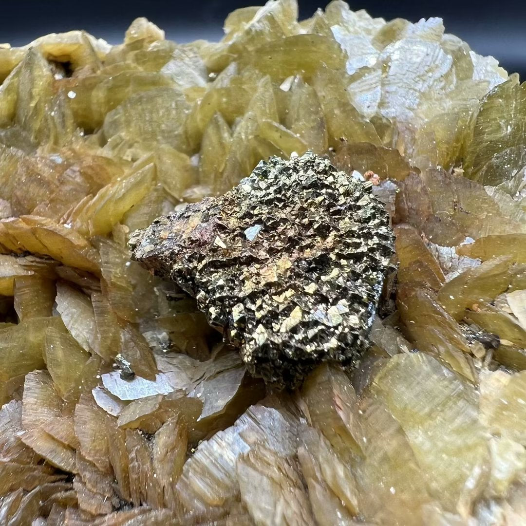 Chalcopyrite cover Tetrahedrite Siderite (Free shipping)