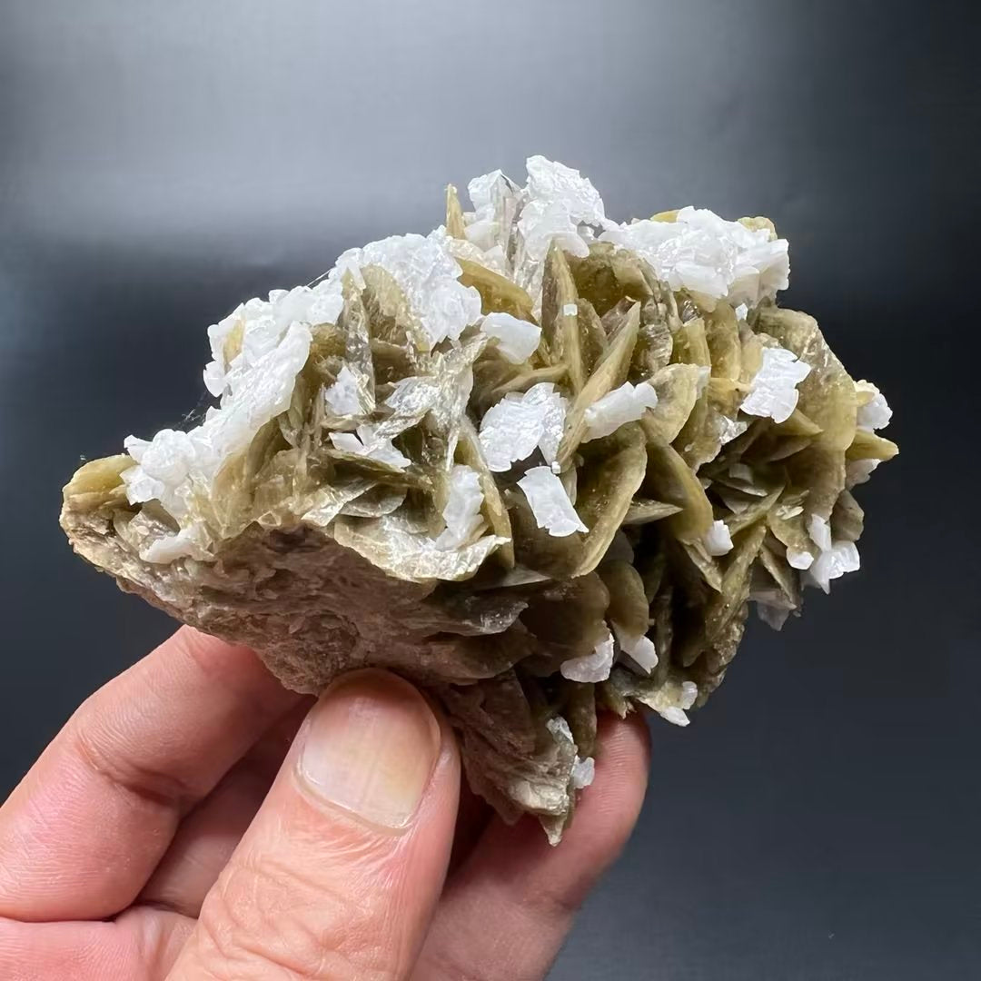 Siderite + Dolomite + Quartz (Free shipping)