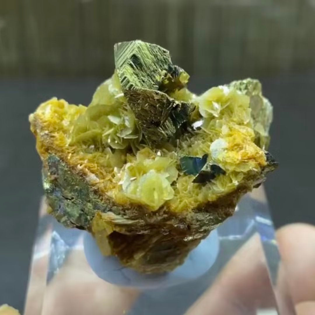 Chalcopyrite + Siderite (Free shipping)