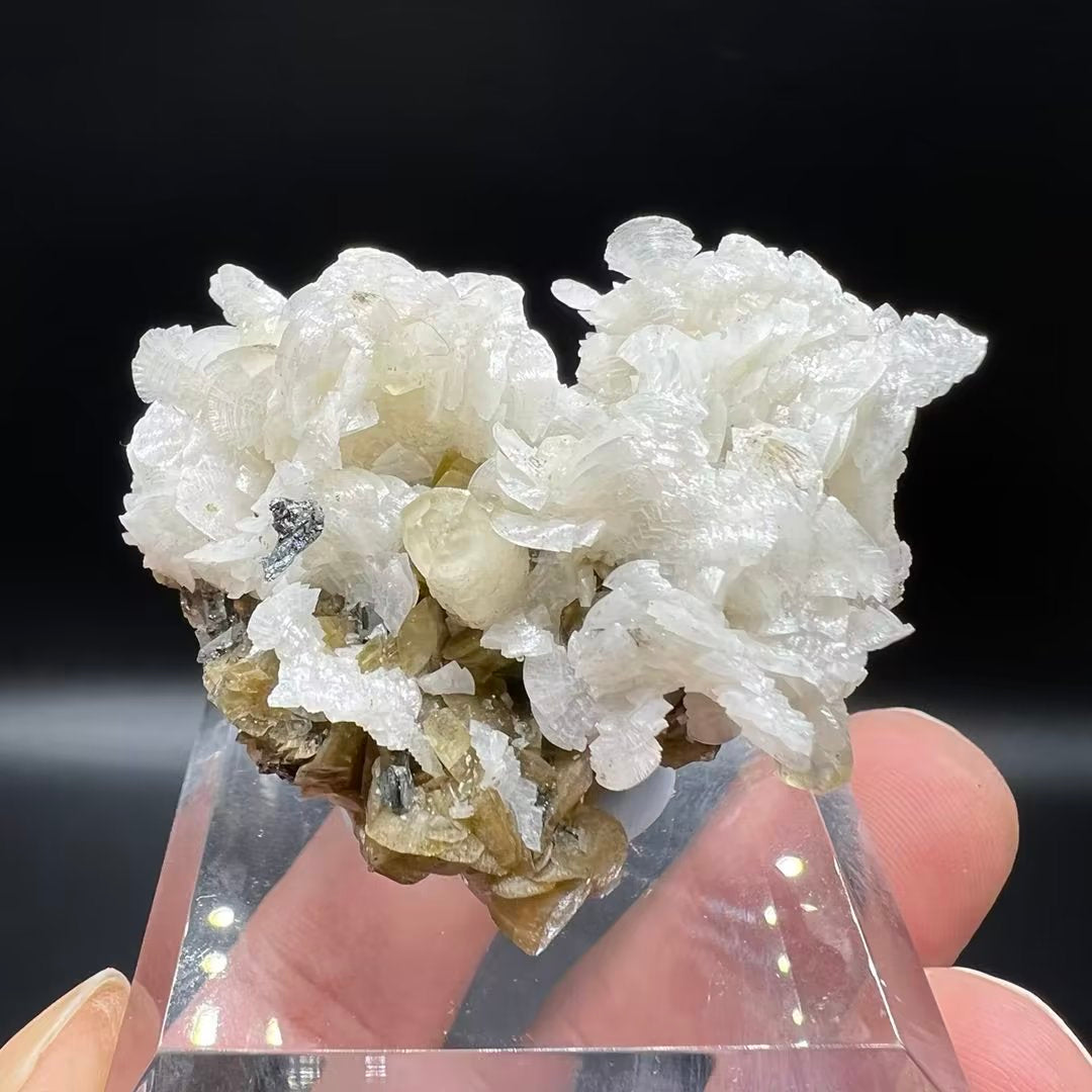 Dolomite + Calcite + Tetrahedrite + Quartz + Siderite (Free shipping)