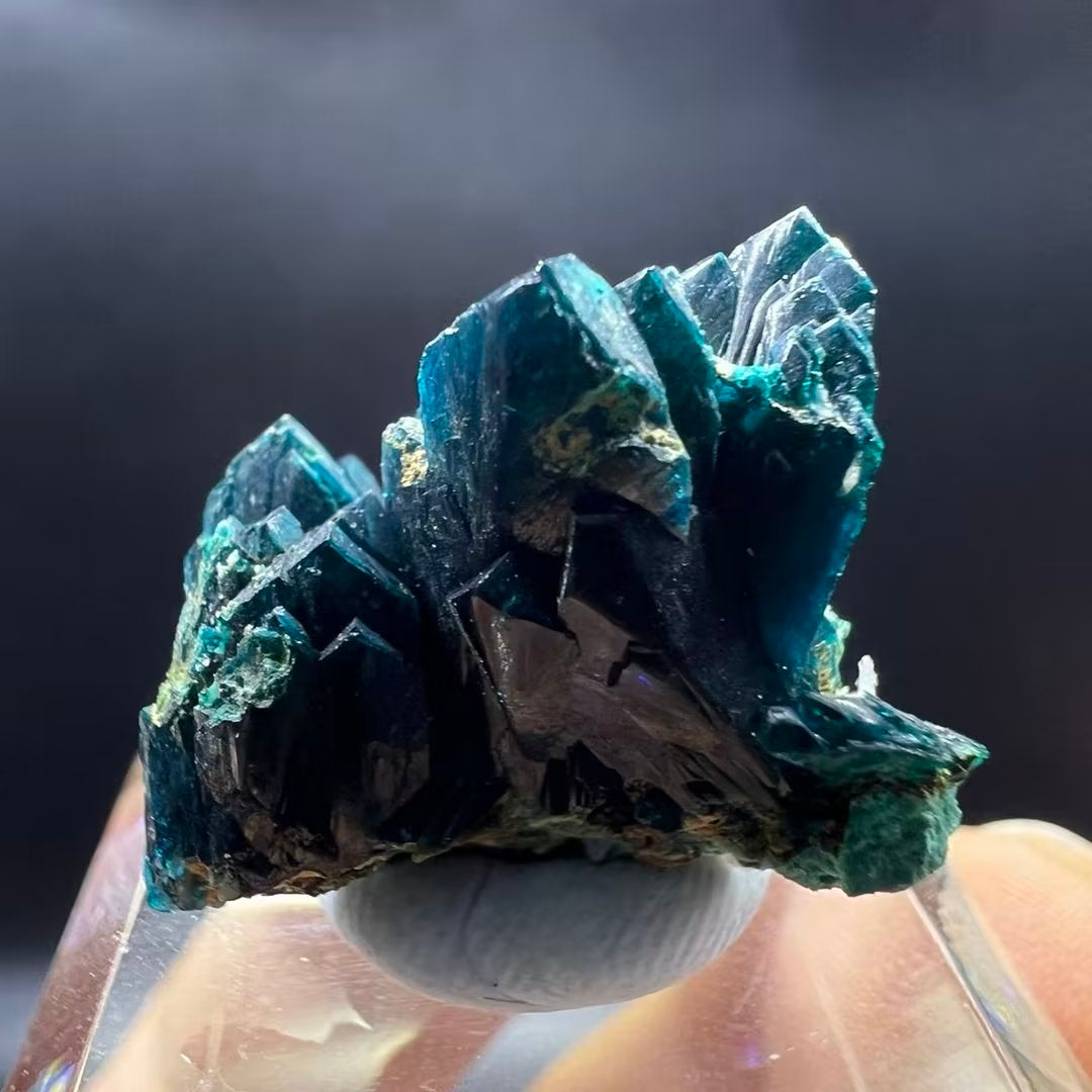 Large crystals Veszelyite (Free shipping)