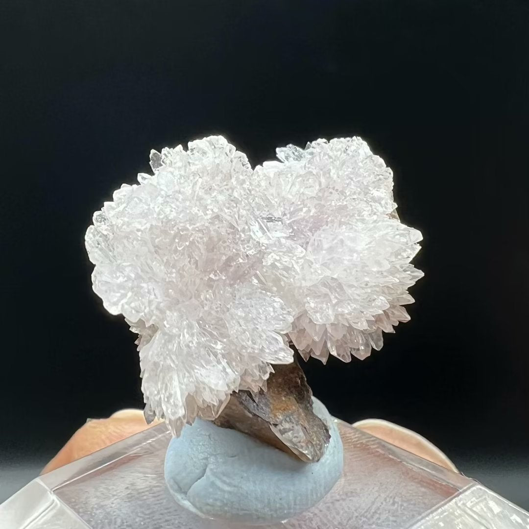 Creedite (Free shipping)