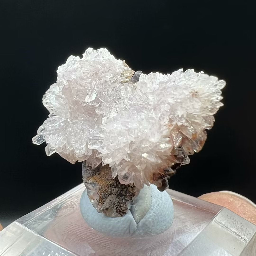 Creedite (Free shipping)