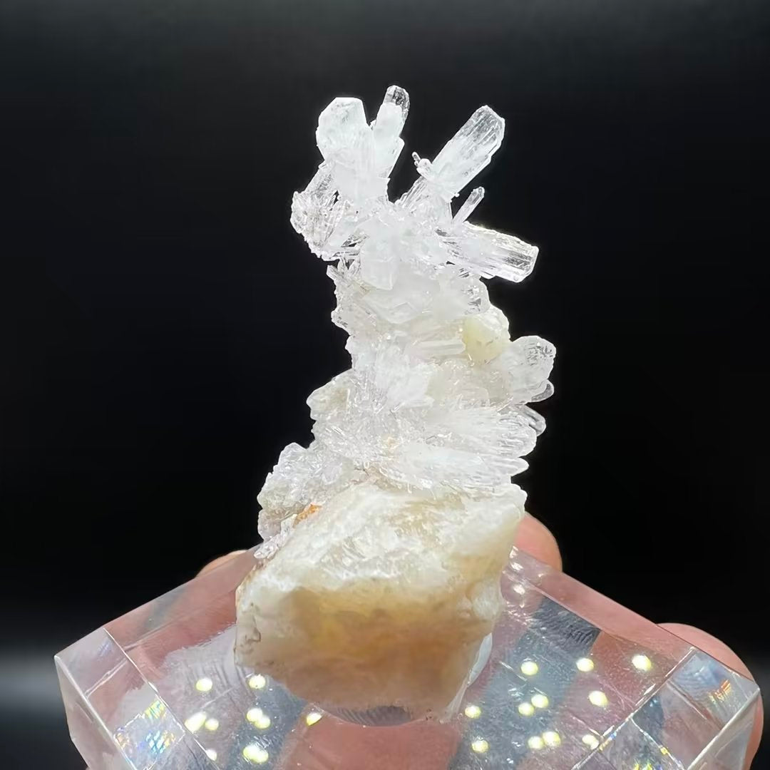 Creedite (Free shipping)