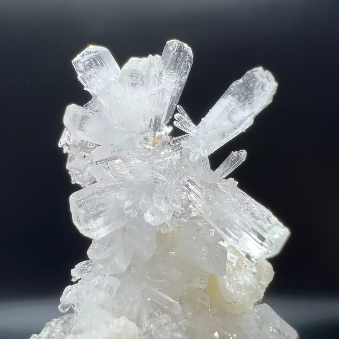 Creedite (Free shipping)