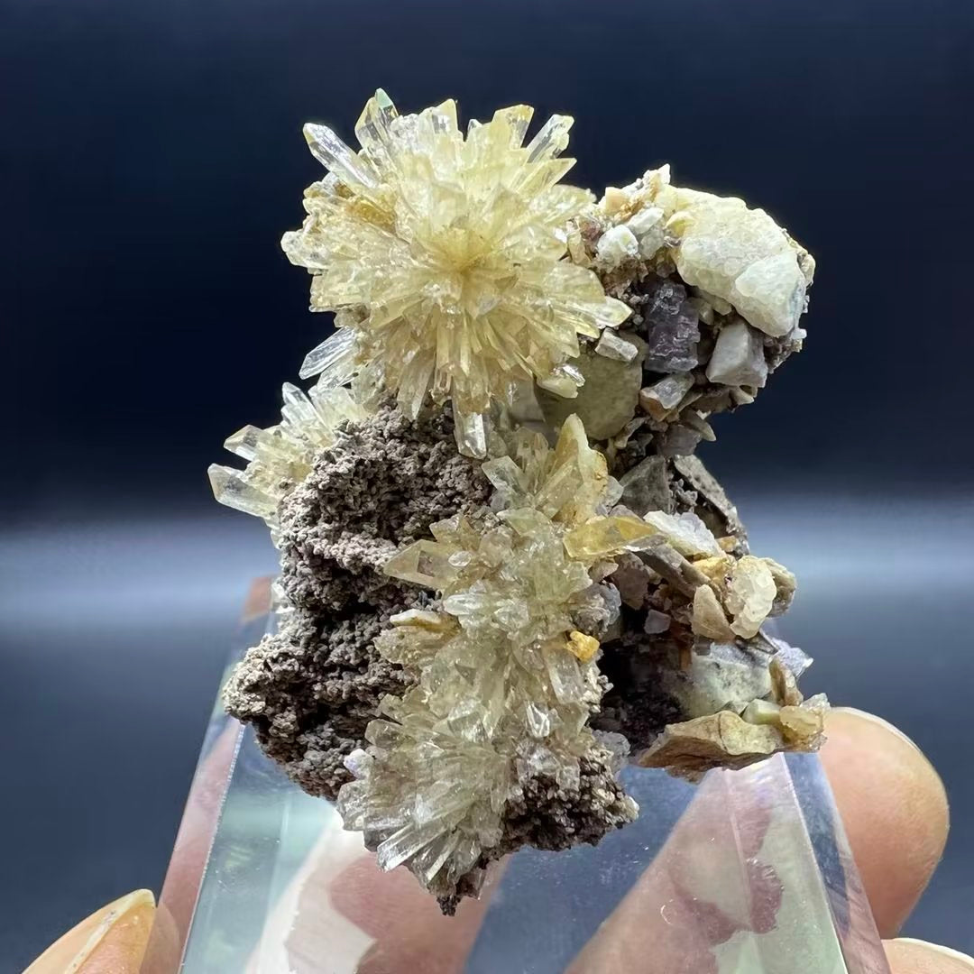 Creedite (Free shipping)