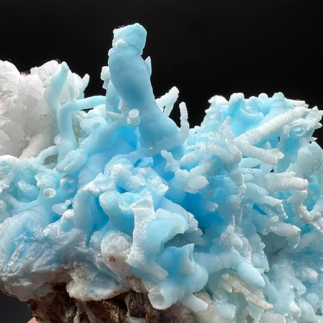 Blue Aragonite (Free shipping)