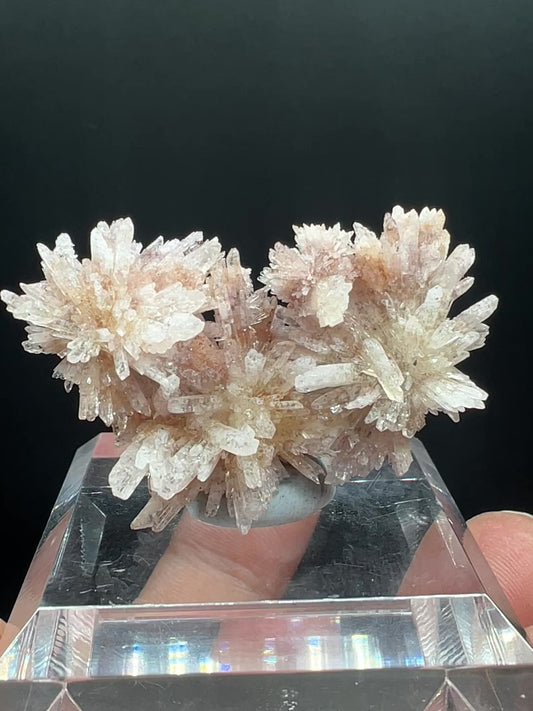 Floater Creedite (Free shipping worldwide)