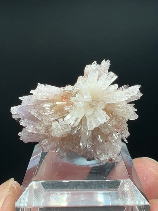 Floater Creedite (Free shipping)