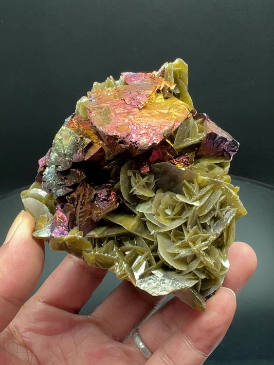 Chalcopyrite + Siderite (Free shipping)