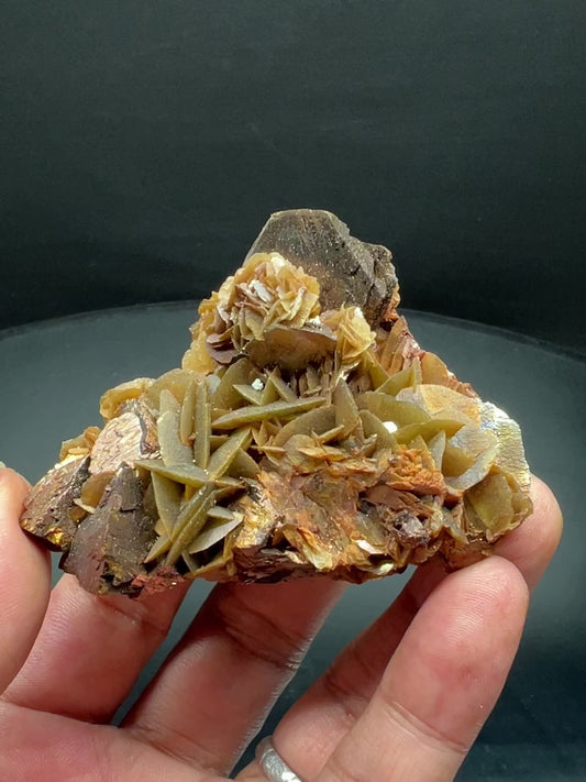 Chalcopyrite + Siderite (Free shipping)