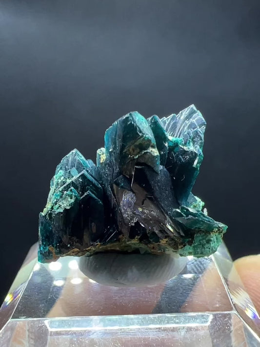 Large crystals Veszelyite (Free shipping)