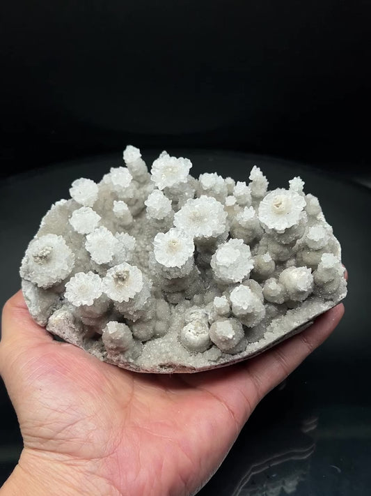 Flowers jungle Calcite (Free shipping)