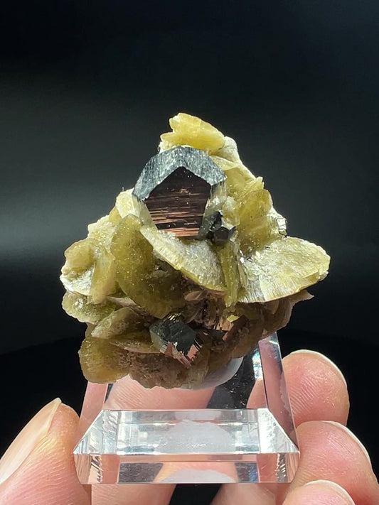 Pyrite + Siderite (Free shipping)