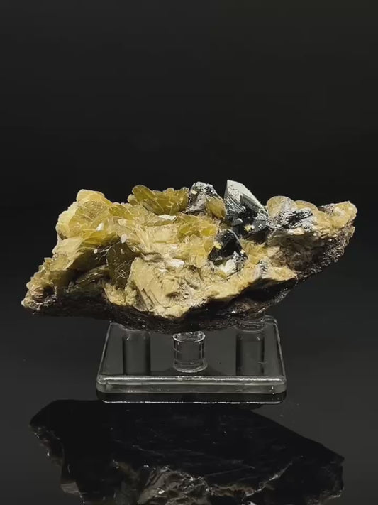 Tetrahedrite + Chalcopyrite + Siderite (Free shipping)